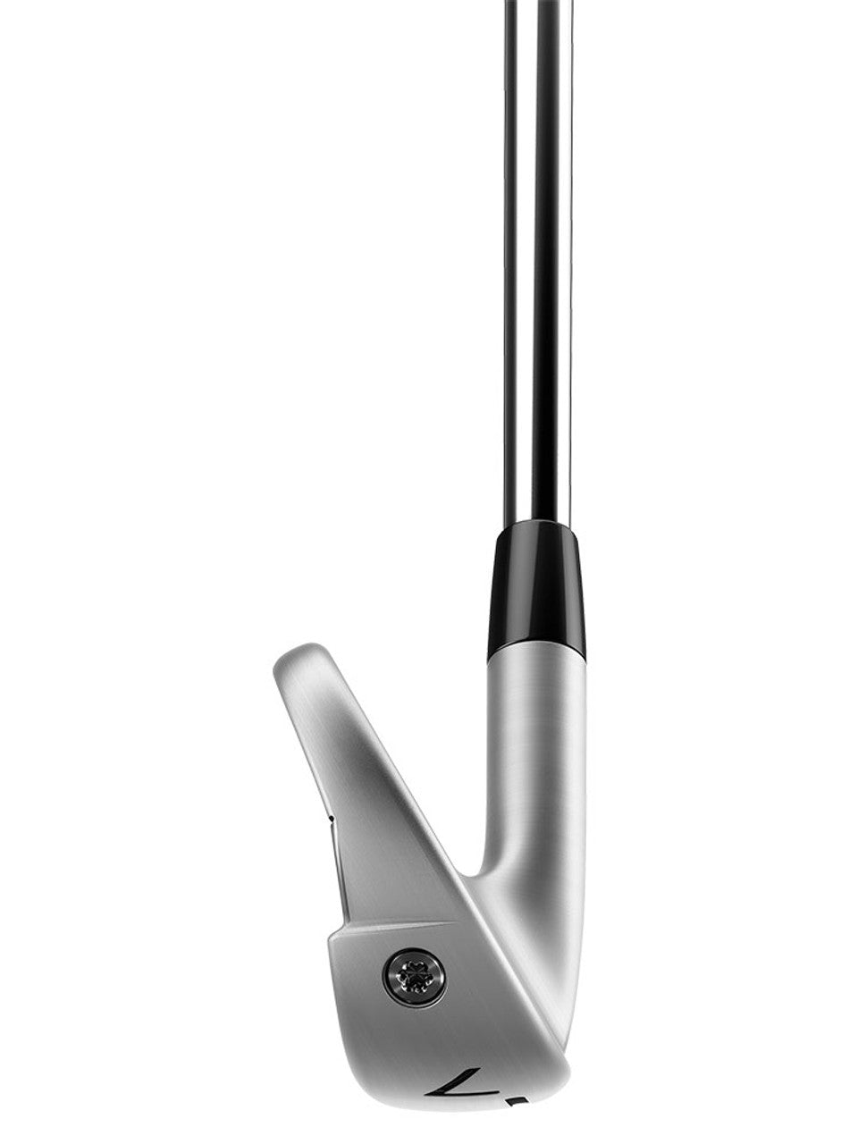 TaylorMade P790 Irons